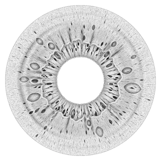 iris #07
